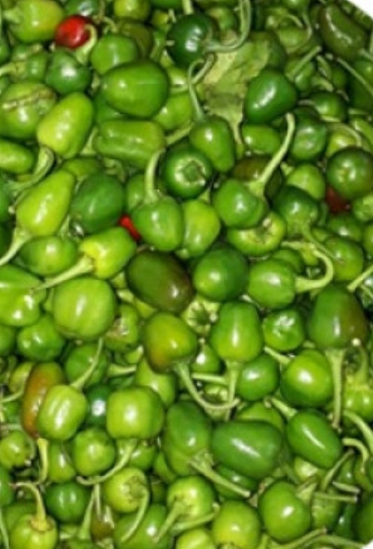 Akabare Chilli(डल्ले खोर्सानी)-200gm